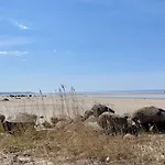 Parque de vacaciones Kosmonautika Puhkekeskus