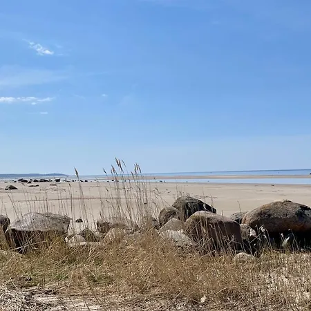 假日公园 Kosmonautika Puhkekeskus