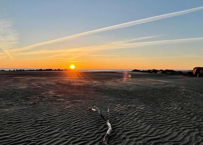 منتزه العطل Kosmonautika Puhkekeskus كابلي