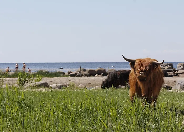 Kosmonautika Puhkekeskus